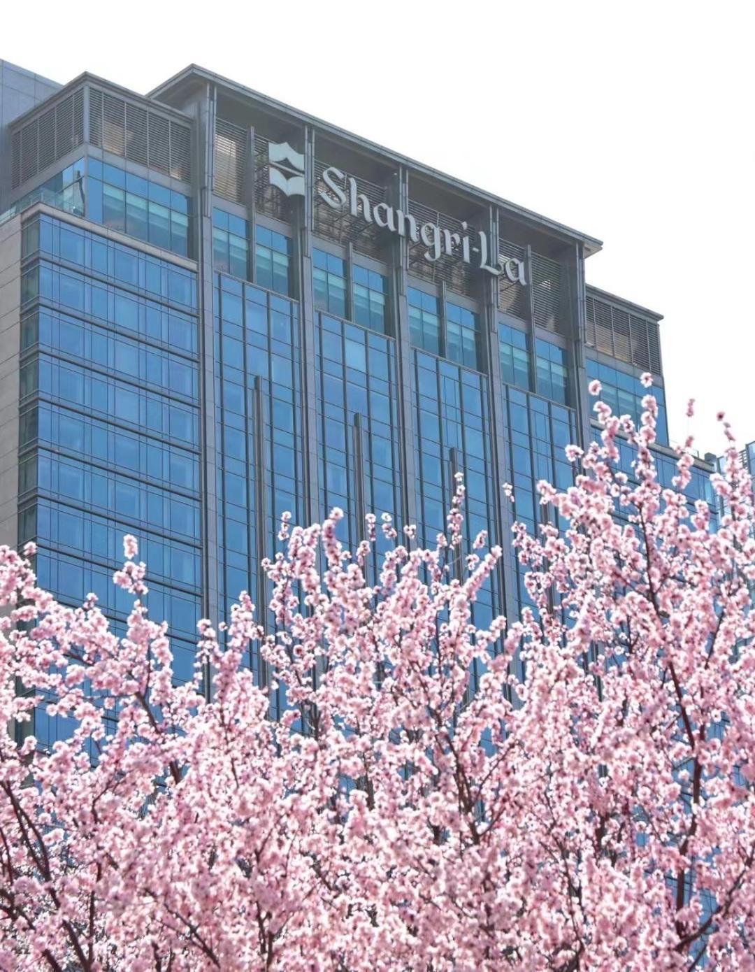 Shangri-La Shenyang Eksteriør bilde